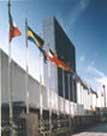 Organisation des Nations Unies, New York