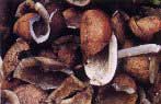 Copra de coco