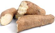 Le manioc