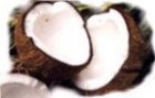 Noix de Coco