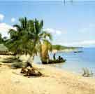 Bord de mer